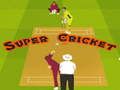 Igra Super kriket  spletu