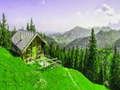 Igra Alpine Mountain Seja spletu