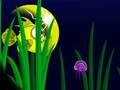 Igra Flash Fish Freddie spletu