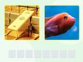Igra Picword spletu