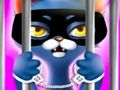 Igra Kitty City Heroes spletu