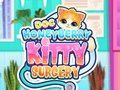 Igra Doc HoneyBerry Kitty kirurgija  spletu