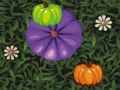 Igra Barva Pumpkin Match  spletu