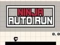 Igra Ninja Auto Run spletu