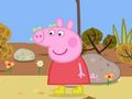 Igra Safari dan s pujso Peppa spletu Igra Safari dan s pujso Peppa spletu