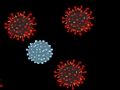 Igra Ubijte virus  spletu