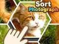 Igra Razvrsti fotografijo  spletu