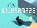 Igra Wildermaze spletu