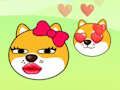 Igra Doge zbira spletu