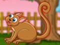 Igra Prisrčni Tarsier Escape  spletu
