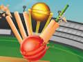 Igra T20 Kriket  spletu