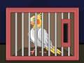 Igra Izpustite ptico cockatiel  spletu