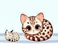 Igra Neko spletu