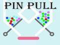 Igra PIN PUT spletu