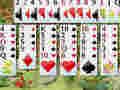 Igra Divji cvet Solitaire  spletu