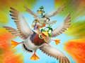 Igra Migracija Flappy Duck  spletu