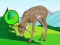 Igra Pobeg iz Deer Meadow  spletu