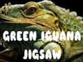 Igra Zelena iguana Jigsaw  spletu
