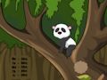 Igra Panda Pobeg iz džungle  spletu