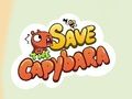 Igra Reši Capybara  spletu