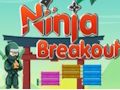 Igra Ninja preboj spletu