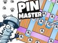 Igra Pin mojster  spletu
