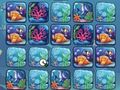 Igra Reef Color Challenge spletu