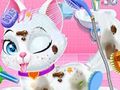 Igra Veterinarska oskrba za male živali  spletu