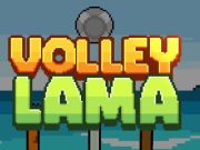 Igra Volley lama spletu Igra Volley lama spletu