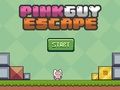 Igra Pink fant pobegne spletu
