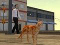 Igra Simulator mačjega mesta  spletu
