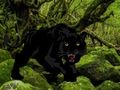 Igra Pobeg iz Black Panther Forest  spletu