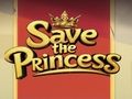 Igra Reši princeso  spletu