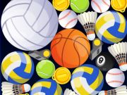 Igra Športno združevanje  spletu