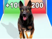Igra Evolucija psa teče spletu Igra Evolucija psa teče spletu