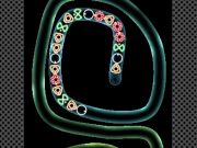 Igra TD Neon Shoot spletu
