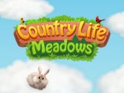 Igra Meadows Country Life spletu