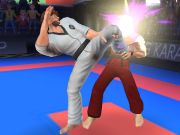 Igra Karate borec spletu Igra Karate borec spletu