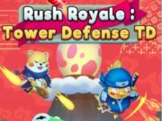 Igra Rush Royale Tower Defense TD  spletu