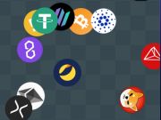 Igra Crypto Detective Finder  spletu