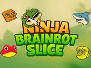 Igra Ninja možganska rezina spletu Igra Ninja možganska rezina spletu