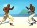 Igra Borec Capoeira  spletu