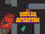 Igra Ninja Assassin spletu