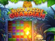 Igra Uganka bloka: Keeper spletu