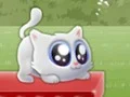 Igra Extreme Kitten spletu