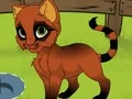Igra My Kitten spletu