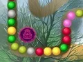 Igra Lost Island spletu