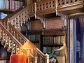 Igra Saving the Library spletu