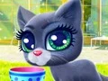 Igra Happy Cat spletu