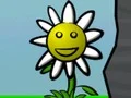 Igra Flower Power spletu
